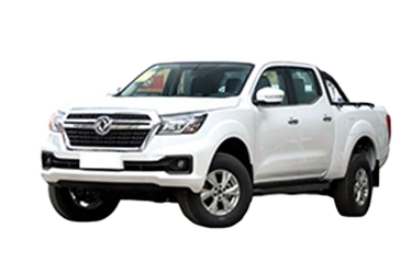 Dongfeng Rich6 EV 4X2 Double Cab Pickup